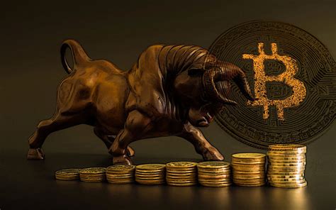 Bitcoin investicijų pelno sistema