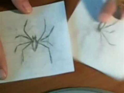 kako nacrtati pauka na licu