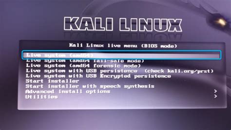 Read Kali Linux Live Usb Boot Open Source Software 