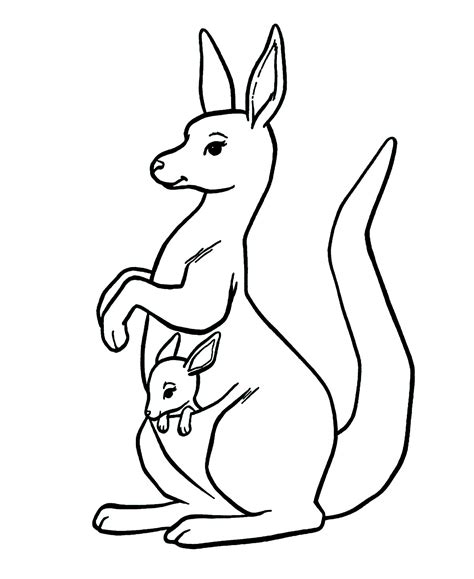 kangaroo coloring page