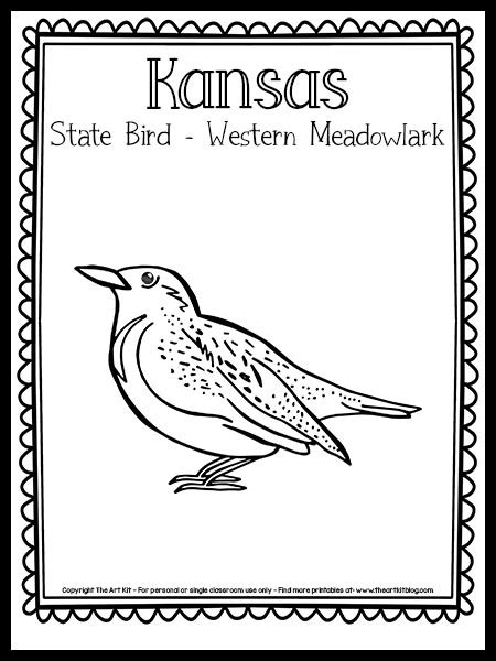 Kansas State Bird Western Meadowlark Coloring Page State Kansas State Bird Facts - Kansas State Bird Facts
