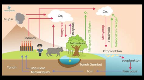 karbondioksida dan oksigen termasuk benda