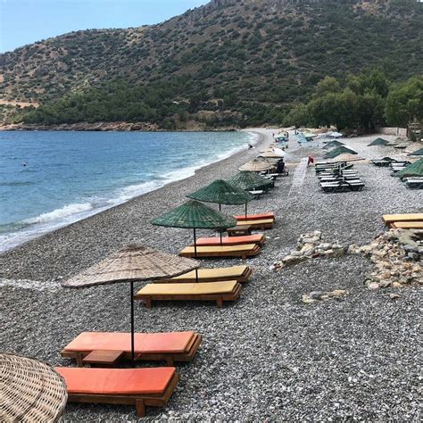 codini.rgarabwor.edu.pl. 