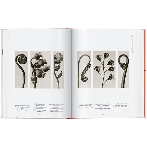 karl blossfeldt the complete published work bibli