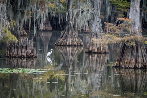 karnack texas