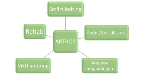 katt artros behandling