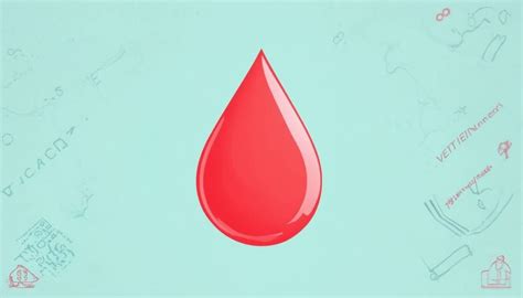 katt blod i urin behandling