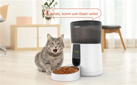 kattmat automatisk