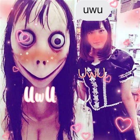 kawaii momo onlyfans