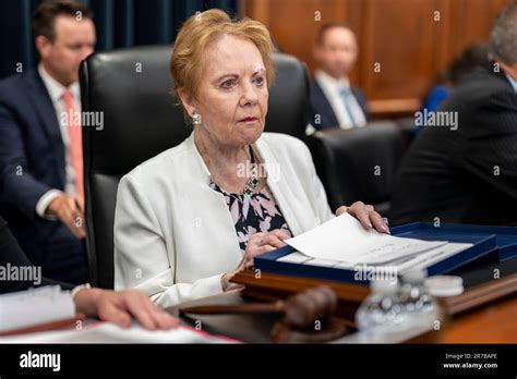 kay granger committee assignments wiki