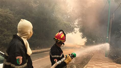 Kebakaran Hutan Di Aljazair Tewaskan 65 Orang Voa Aljir Daftar - Aljir Daftar
