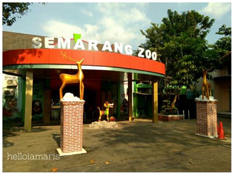 kebun binatang semarang
