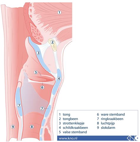 keel afsluiten uitleg