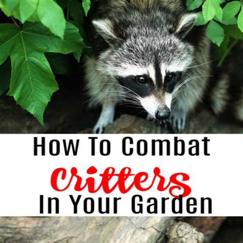 Keep Critters Out Of Garden
