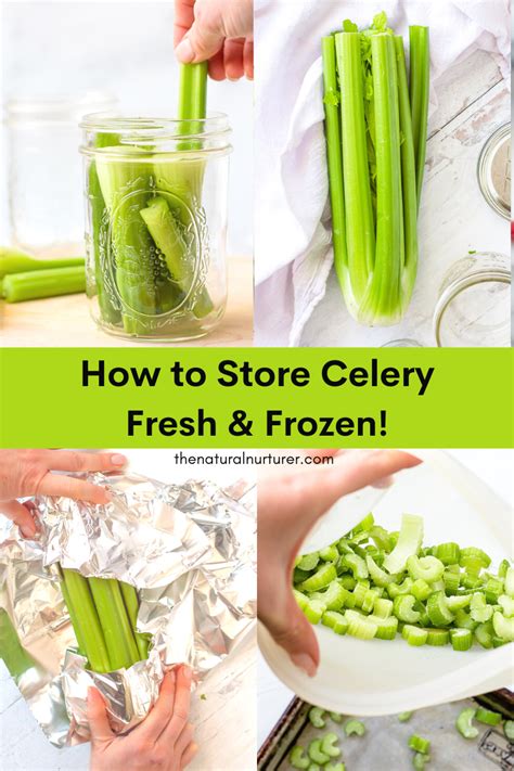 keeping celery fresh in fridge