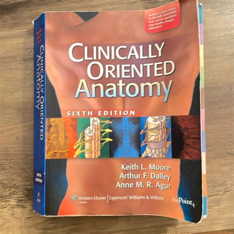 Keith Moore Clinically Oriented Anatomy 7th Edition