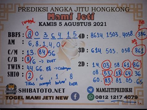 KELAPA TOGEL - Jangan Tonton Video Ini!! Karena Hanya Video Kupas Kelapa Hijau