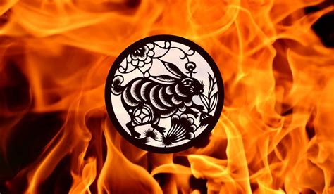 kelinci api | Dua Kelinci hiring Regional Brand Manager in