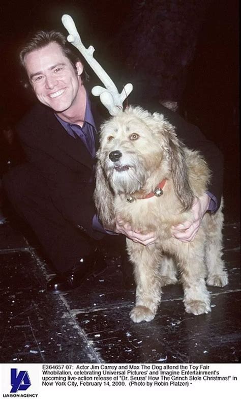Kelley The Dog