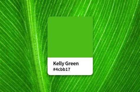 kelly green color code