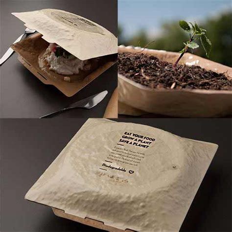 kemasan biodegradable