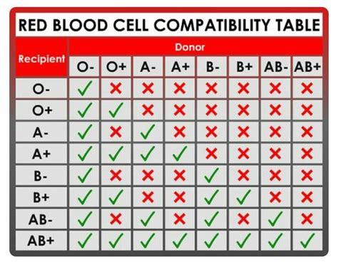 kenapa golongan darah a tidak bisa donor ke b