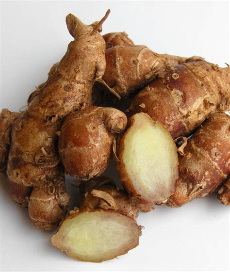 kencur in english | nh hng ca cc cht iu ha