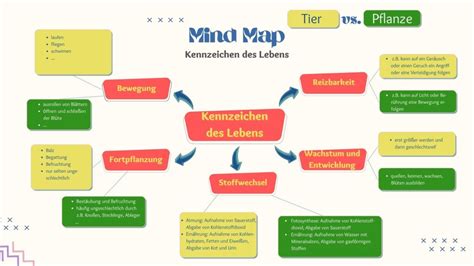 Kennzeichen Des Lebendigen