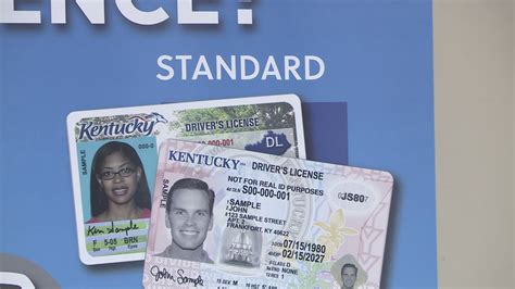 kentucky driver licensing