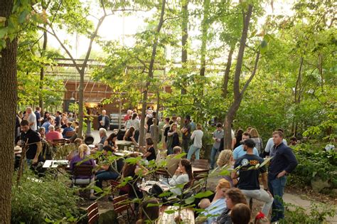 kentucky native cafe