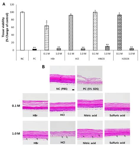 keraskintm | keraskintm implementasi keamanan kerja 2024 keraskintm gratis