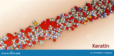Keratin Filaments