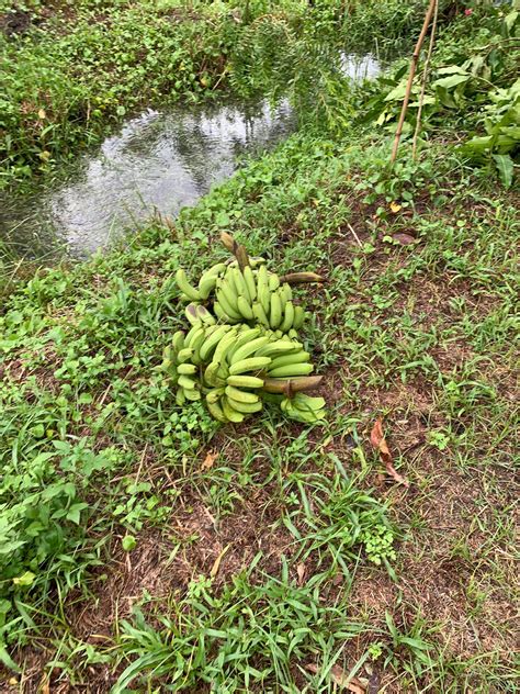 ketqua.9 | X S Kt Qu X S 3