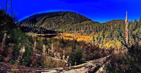 kettle falls washington