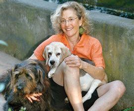 ketzel levine biography sample