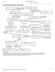 key for artery concept map
