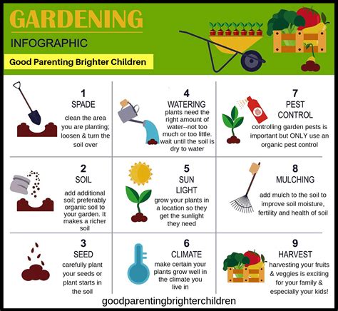 Key Rules For Kitchen Gardening How To Start Designated Kitchen Garden - Designated Kitchen Garden