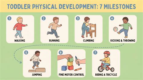 Key Terms About Physical Development Answers