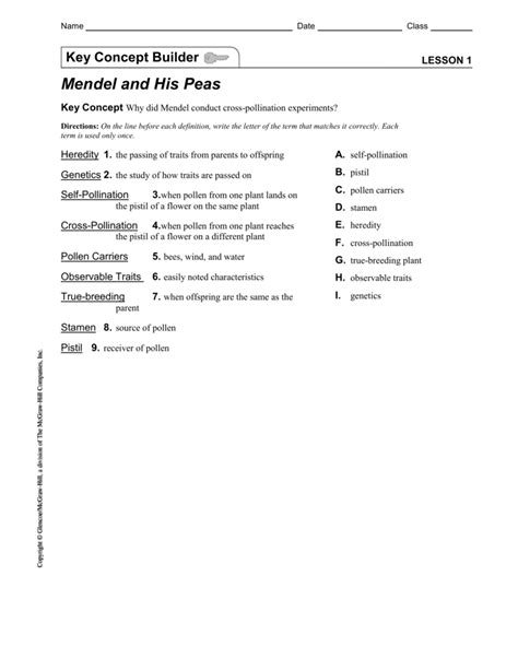 Read Online Key Concept Builder Lesson 1 
