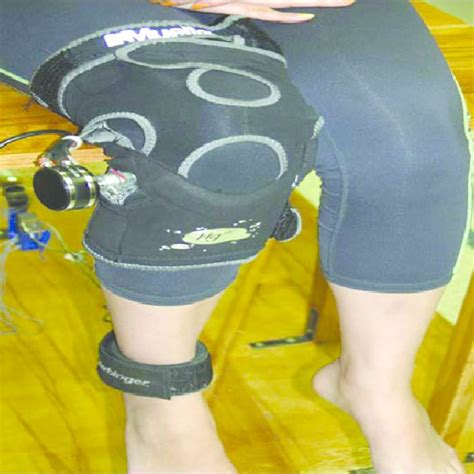blackjack online: Apostando nas Melhores Apostas Desportivas Online com a Garantia de Segurança dos Fundos - Foto 2