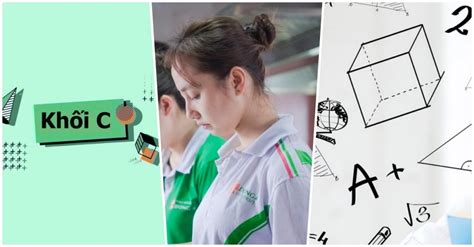 khối c | Khi C gm nhng mn no Cc