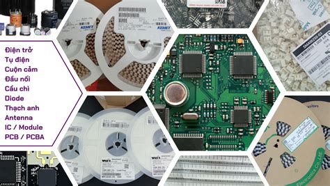 kiện | Ngha ca t Kin T in Vit