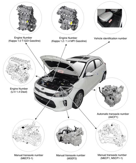 Full Download Kia Engine Identification 