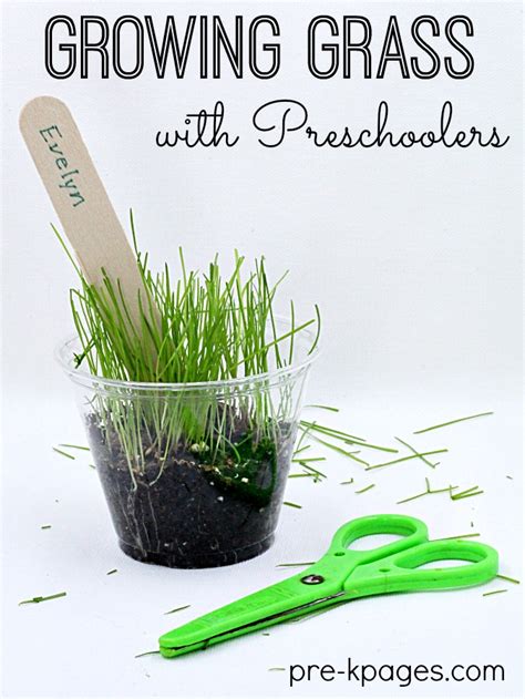 Kidu0027s Science Planting And Growing Grass Words Science Words For Kids - Science Words For Kids