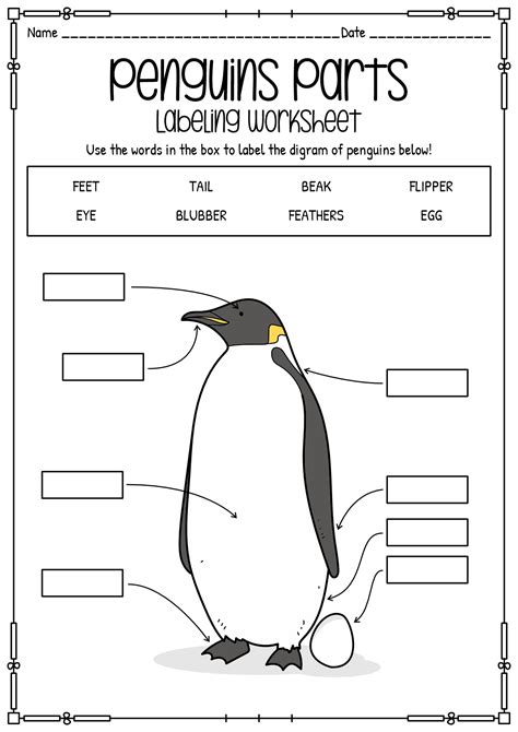 Kidzone Penguin Activities Penguin Worksheets For Kindergarten - Penguin Worksheets For Kindergarten