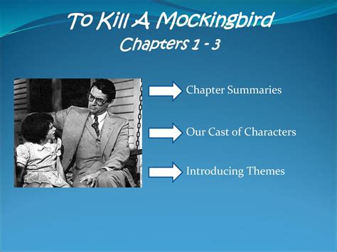 Kill A Mockingbird Chapter 3 Summary