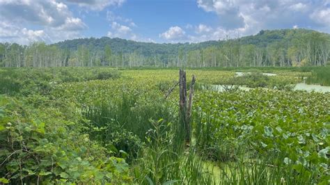 killbuck ohio