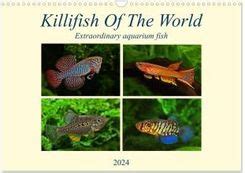 killifish of the world wall calendar 2017 din a4