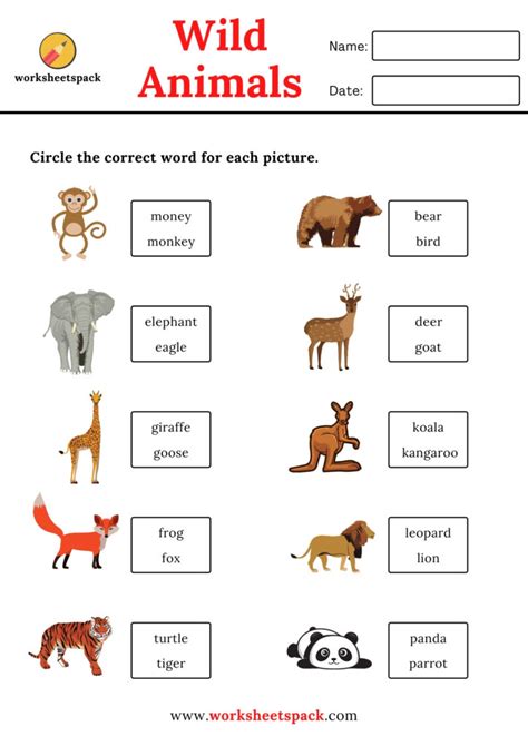 Kindergarten Animal Characteristic Worksheet Kindergarten Animal Characteristic Worksheet - Kindergarten Animal Characteristic Worksheet