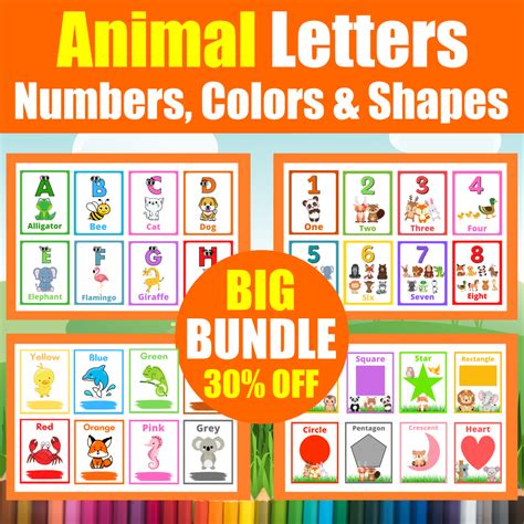Kindergarten Flash Cards Letters Numbers Shapes Letters Numbers And Shapes - Letters Numbers And Shapes